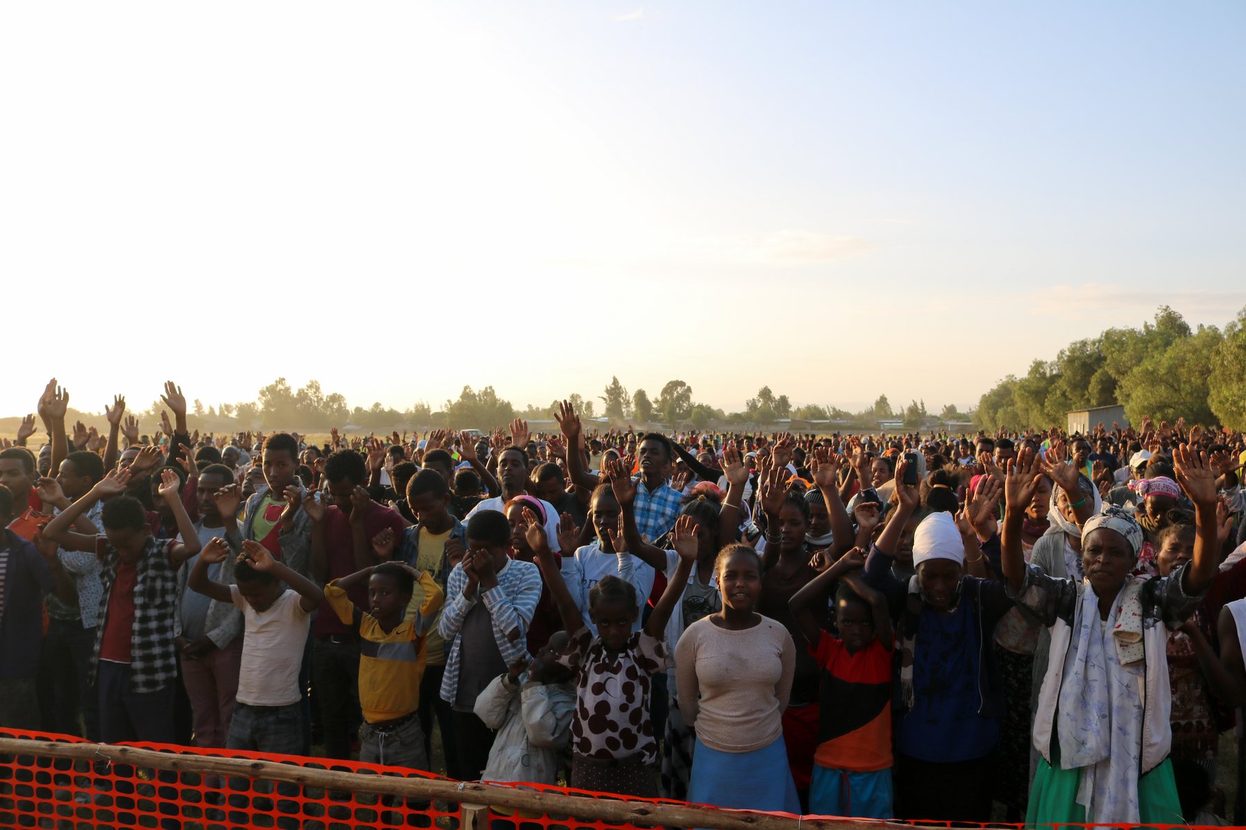 Crowd