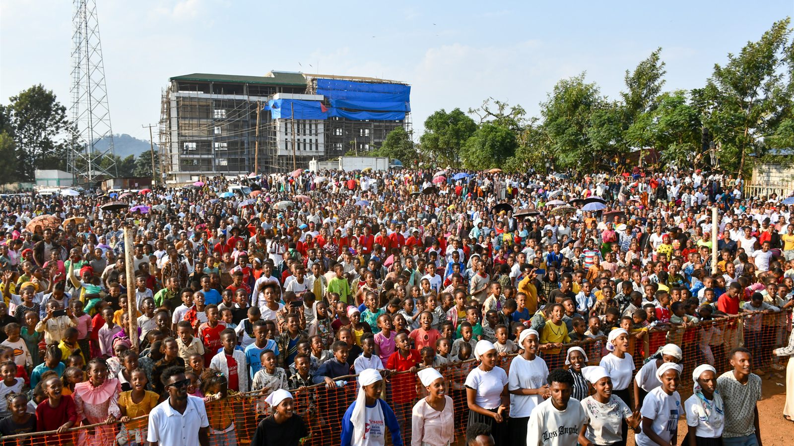Crowd