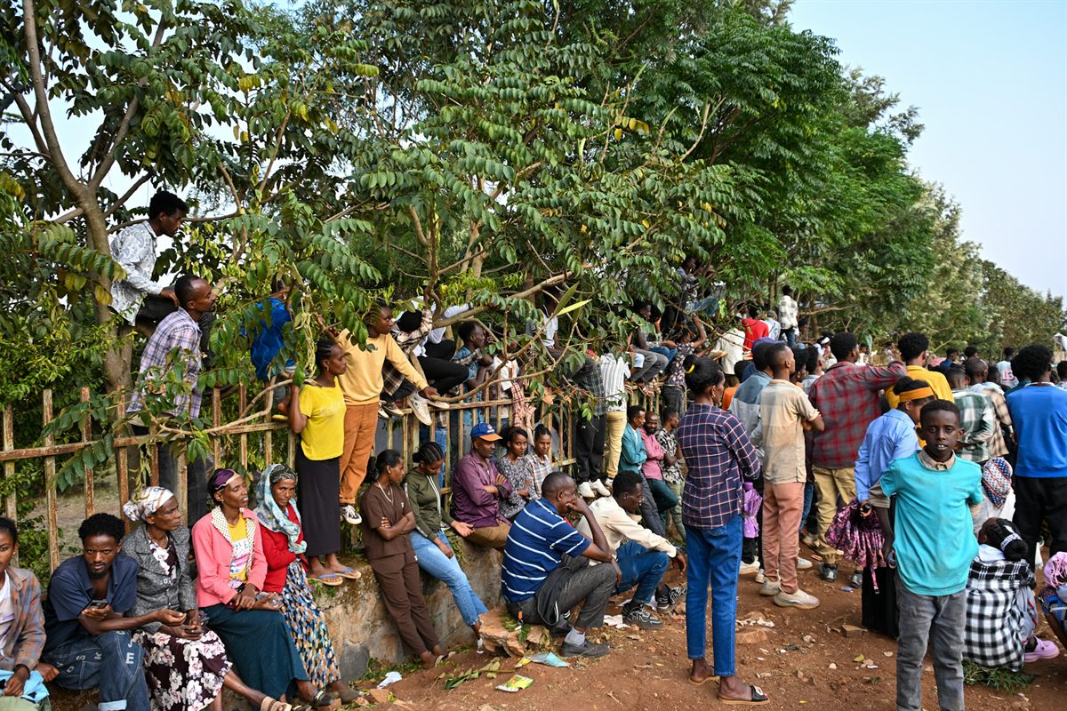 People gathered outdoors near trees