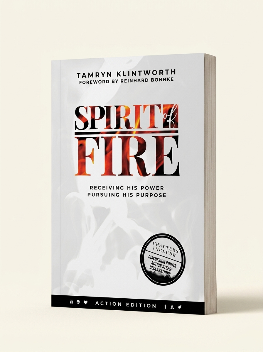Spirit of Fire Action Edition by Tamryn Klintworth